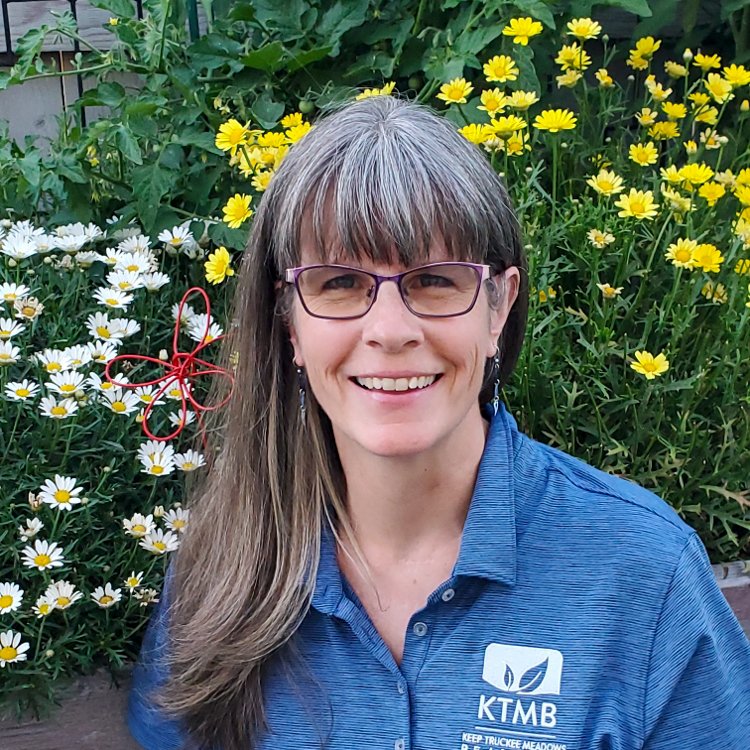 Darcy Phillips headshot